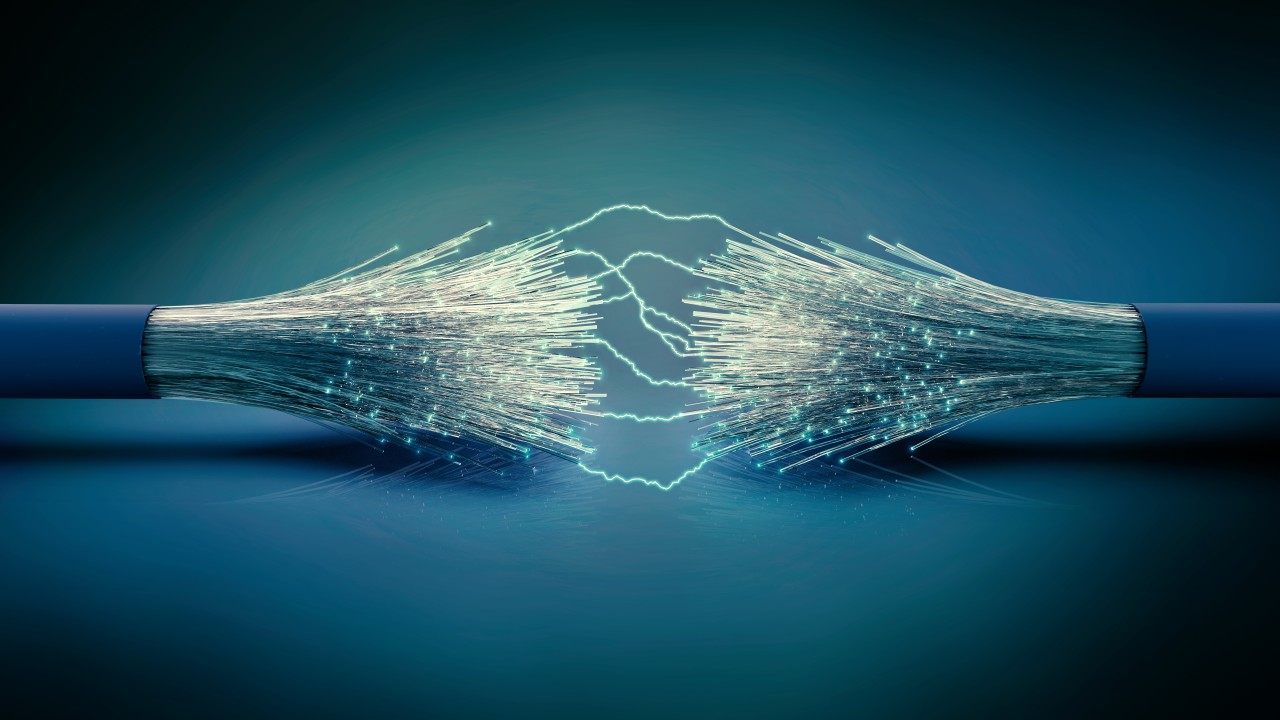 Fibre-cuts-pic